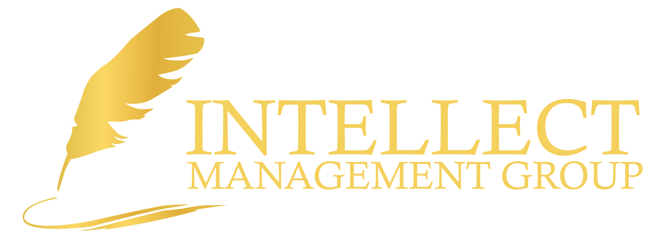 Intellect Management Group